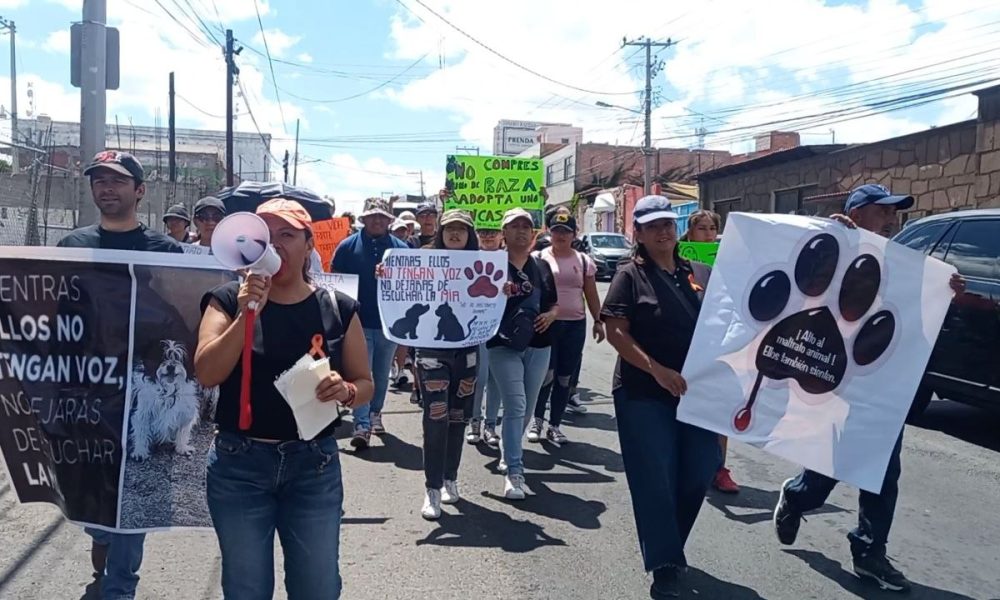 Marchan contra el maltrato animal - Noticias de Querétaro