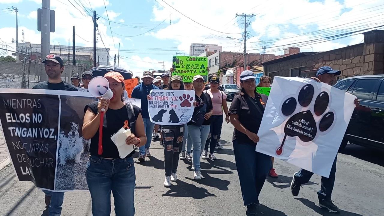 Marchan contra el maltrato animal - Noticias de Querétaro